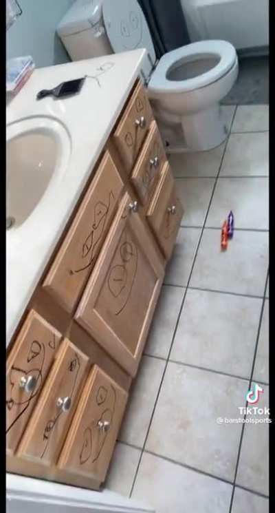 Happy Toilet