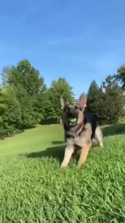 The Catch