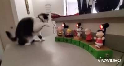 Metronome cat