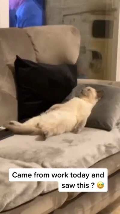 Me after a long day