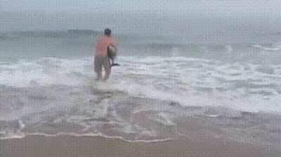 Kayaking instructor Naude Dreyer was driving along a beach when he spotted something moving on the sand. As he got close to it, he realized it was a young Benguela dolphin. The animal had washed on Paaltjies Beach near the Namibian city of Walvis Bay. He