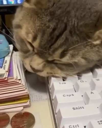 I just hate this key