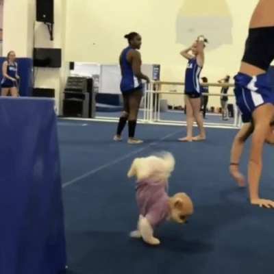 A casual handstand