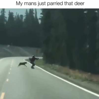 How did he miss out on being damaged? Meanwhile when a deer run into a car/hit, the car is almost all the time fucked up !!!!!!!!