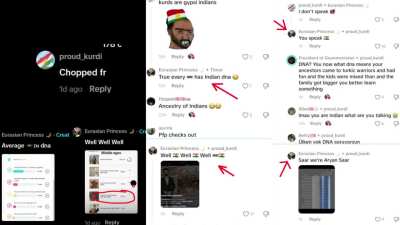 Weird women on TikTok gets called "chopped". Absolutely loses it and starts obsessing over Indian DNA ancestry to the point where she starts creating graphs, absolutely nobody involved is Indian nor is it India-related.
