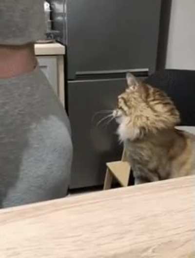 Stop moving about or...
