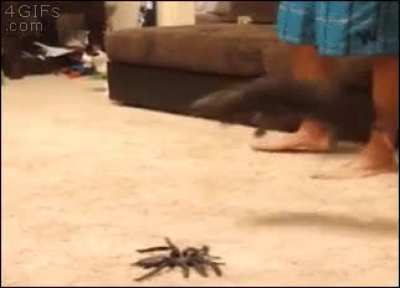 "Oh no! What is that thing?"