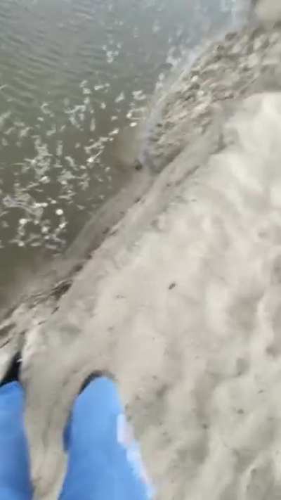 WCGW stepping on the edge of a sand cliff
