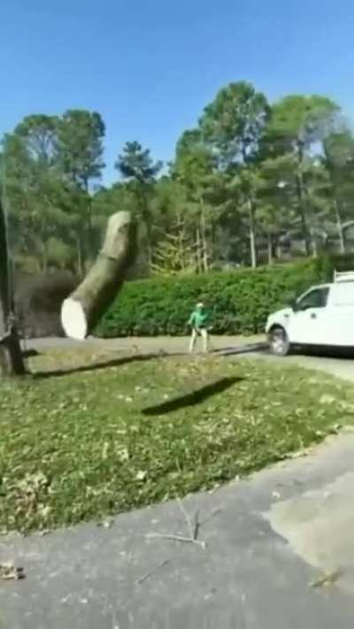 When your lumberjack has decades of experience.