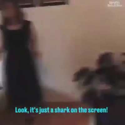 Violent grandma tries vr