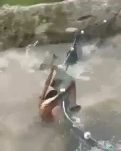 Oh fish!