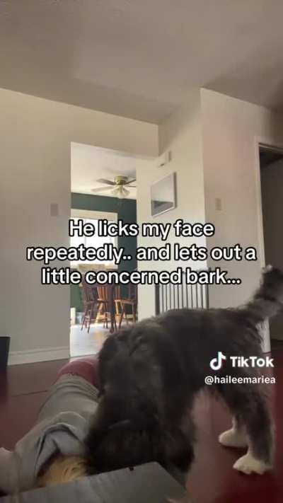 It seems cute but I can't stop thinking she scared her puppy for no reason. He's not even trained for this, he's just from a regular breeder. What do you think?