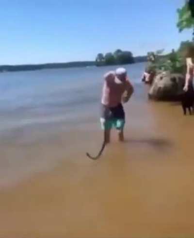 Hero saves the day!