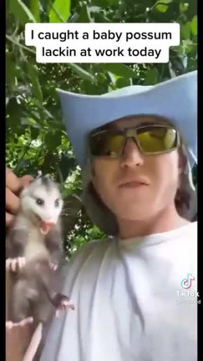 He’s alive but he’s dead