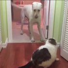 You shall not pass