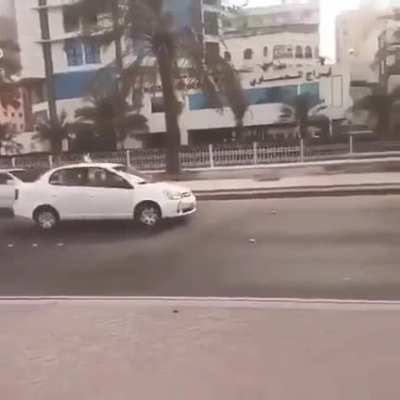 Honking at a couch