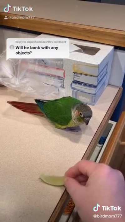 BONK