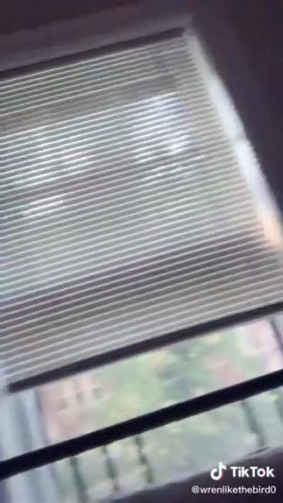 Comments for this post have been disabled.