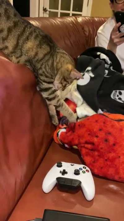 I just want to touch it