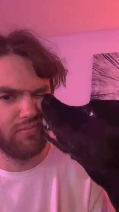 Nom nom nom
