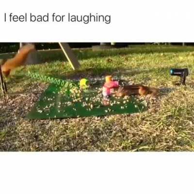 Very fast ?