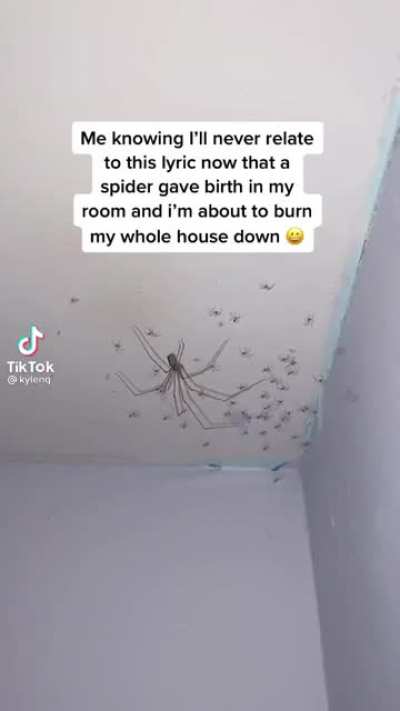 Spider-room