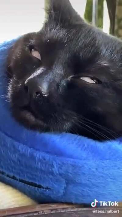 We can’t come to the phone right now, please leave a message