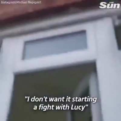 It's okay Lucy