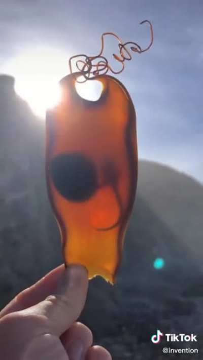 "Shark egg case that was found ashore with a live embryo still inside" I hope they left him in the ocean! ?
