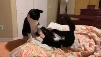 "What is wrong with you?"