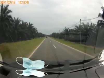 ?This water buffalo just walks off after being hit by a car