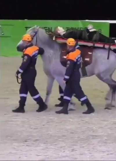 to demonstrate the rescue horse