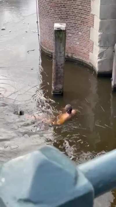 WCGW ice skating on thin ice in Amsterdam