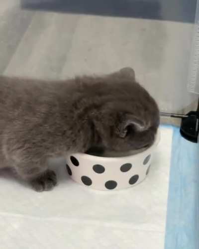 ❤ ? Just one more drink... ? ❤