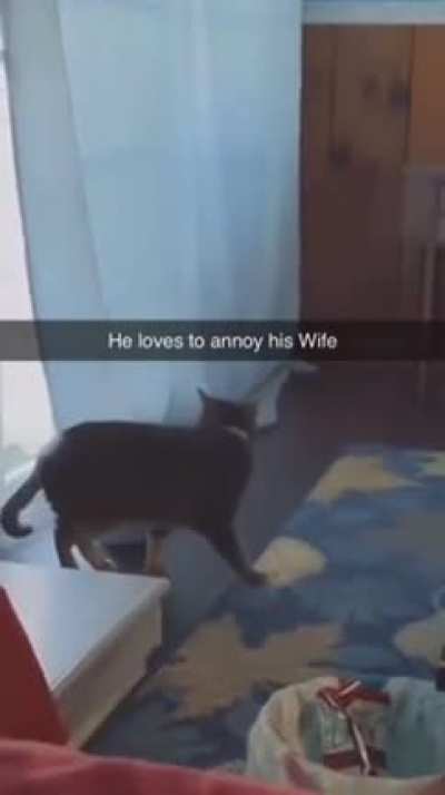 She blamed the curtain ??