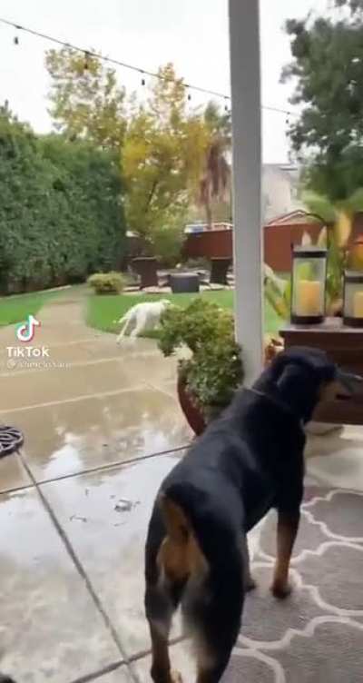 Parkour!