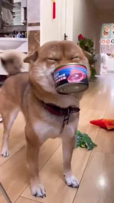 Show your doggy is happy, without actually saying your doggy is happy?