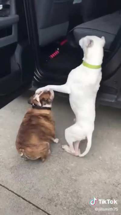 No ones gonna help them?? ?