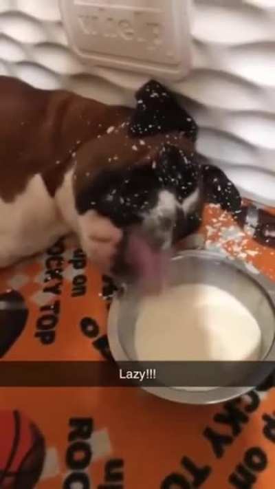 He is the master of laziness ??