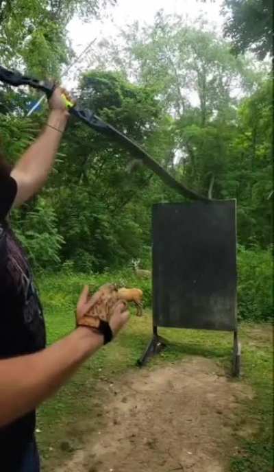 Bro shoots a aspirin with an arrow