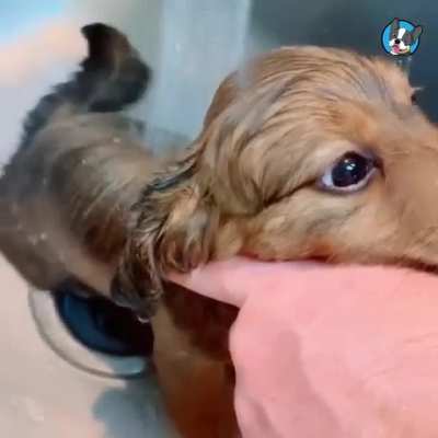 Bathing time ??