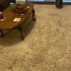 Cat loves chasing her laser
