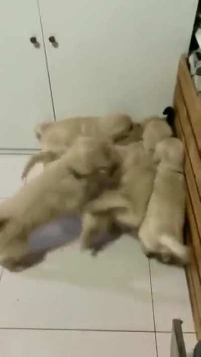 An ambush