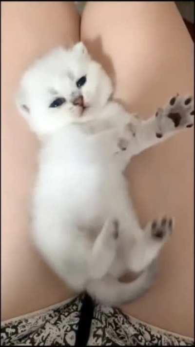 Precious Baby