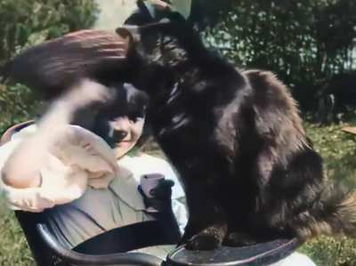 The world's first cat clip ever from 1899, "Little girl and cat". Colorized and speed adjusted.