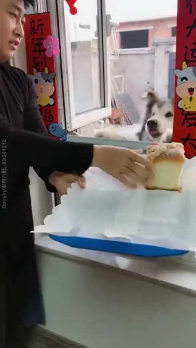 Bread and circuses