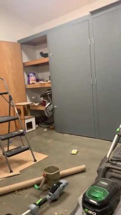 The cat food in the garage had mysteriously been disappearing too fast to be eaten by the cats. We assumed another neighborhood cat. Caught the real thief red handed last night.
