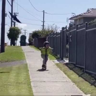 Angry Birds IRL--The Terror is Real!