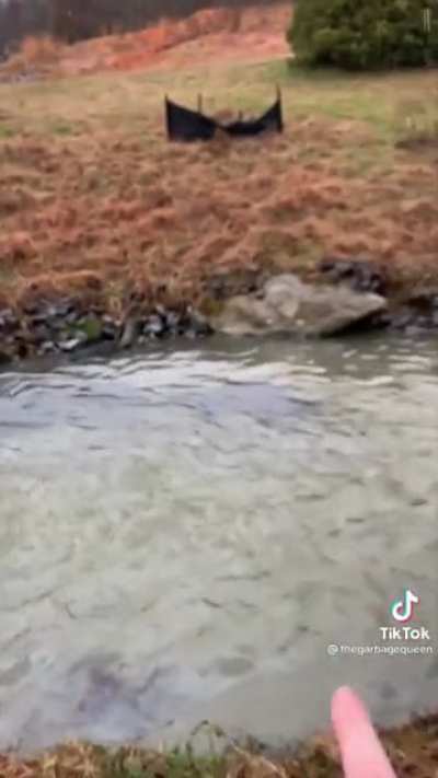 Rubber factory fire has dire ecological consequences