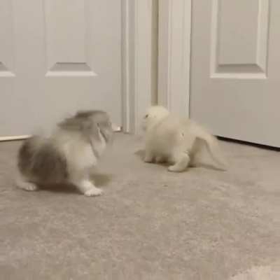 Fluffy angels